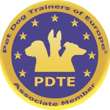 PDTE